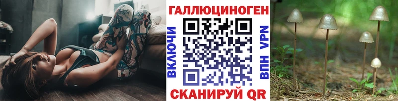 Псилоцибиновые грибы Psilocybe Партизанск